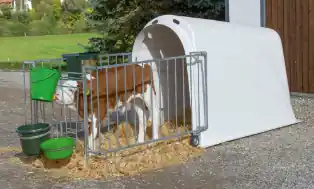 Kälberhütte CalfHouse Master Plus Begrenztes Angebot